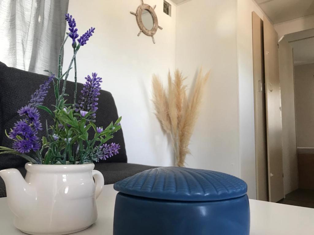 Mobile Home Tomic ティスノ エクステリア 写真